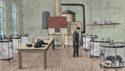 Louis Pasteur (1822-1895), químico e físico francês em seu laboratório em Paris. de Unknown artist