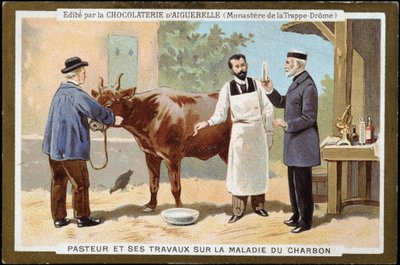 Louis Pasteur e o seu trabalho sobre a doença do carvão vegetal - rótulo publicitário do Chocolats d