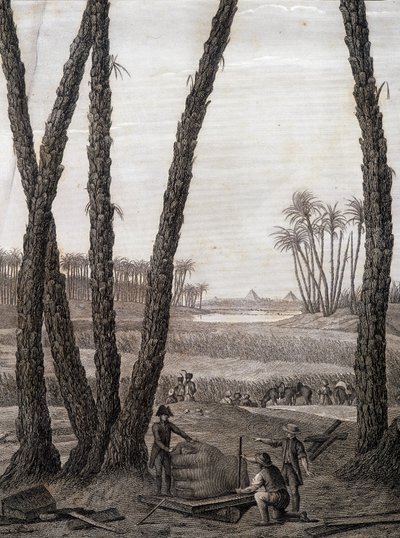 Memphis, vista das ruínas (cientistas e artistas trabalhadores) - em "Descrição do Egito", Edições Imperiais de Unknown artist