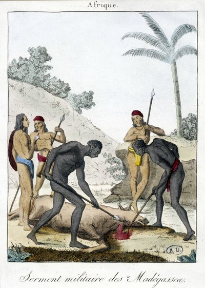 Juramento militar dos habitantes de Madagáscar (abatido um boi) - grv. 1811 de Unknown artist