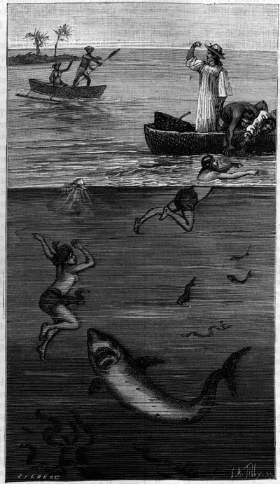 Cultura de mãe de pérolas no Taiti: uma mãe colhedora de pérolas atacada por um tubarão. (De acordo com os documentos comunicados pelo autor). Gravura em "La Nature: Revue des sciences et de leurs applications aux arts et a l