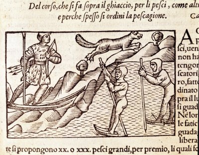 Caçadores noruegueses em movimento através de esquis. gravura de Olaus Magnus (1490 - 1557), religioso e geógrafo sueco, "Historia de Gentis Septentrionalibus", Veneza de Unknown artist