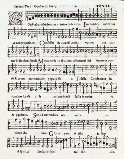 Página de partitura musical do salmo Confitebor tibi dominine dedicada a Palestrina por Costanzo Porta de Unknown artist