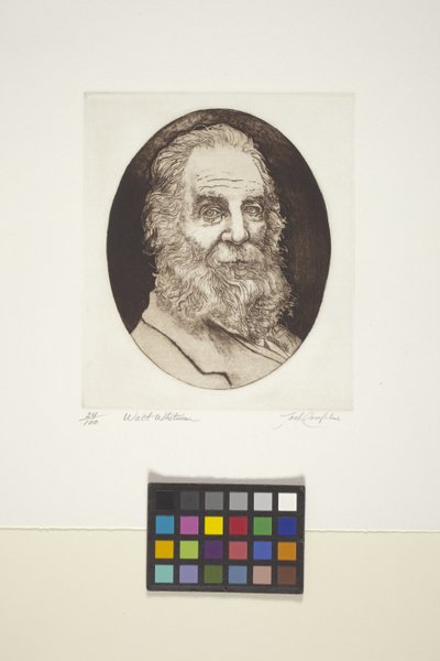 Retrato de Walt Whitman (tinta, impressão) de Unknown artist