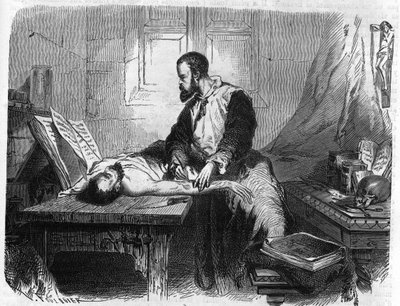 Retrato de André Vésale (1514-1564), anatomista holandês (Em latim: Andrea Vesalius, holandês: Andries Van Wesel). Gravura de 1866. de Unknown artist