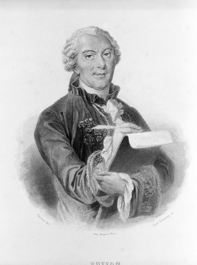 Retrato de Buffon (1707 - 1788), naturalista e escritor francês. de Unknown artist