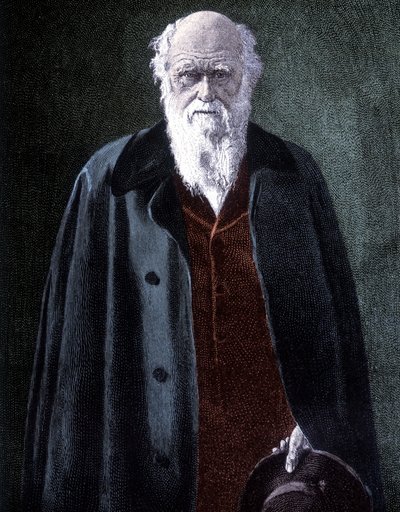 Retrato de Charles Darwin, naturalista britânico (1809 - 1882) de Unknown artist