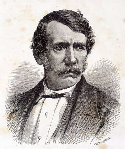 Retrato de David Livingstone, missionário e explorador britânico (1813-1873) - em "Tour du Monde", 2º semestre. 1875¿ de Unknown artist