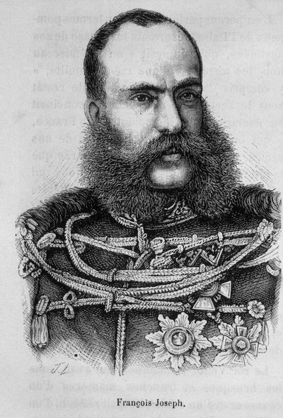 Retrato de Francisco José I, Imperador da Áustria (1830 - 1916) de Unknown artist
