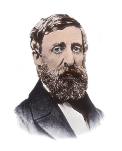 Retrato de Henry David Thoreau (1817-1862) - ensaísta, poeta, filósofo, abolicionista, naturalista, fiscalista, crítico de desenvolvimento, agrimensor e historiador americano de Unknown artist