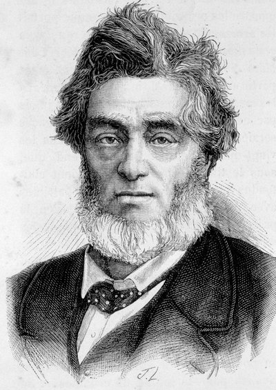 Retrato de Jules Favre (1809 -1880), político francês. de Unknown artist
