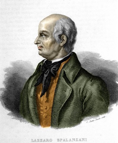 Retrato de Lazzaro Spalanzani (ou Spallanzani), biólogo italiano (1729 - 1799) de Unknown artist