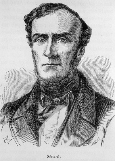 Retrato de Marie Antoine Jules Senard, membro da Ordem dos Advogados de Paris, ex-presidente da Assembleia Nacional e ex-ministro do Interior. Ele defendeu Gustave Flaubert durante o julgamento, após a publicação da Madame Bovary. Gravura do século XIX. de Unknown artist