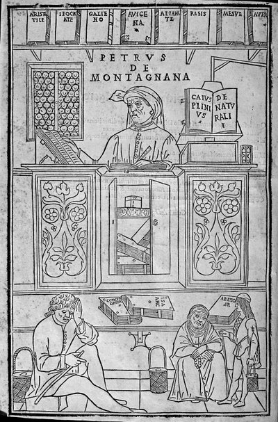 Retrato de Pietro da Montagnana, um professor de medicina Paduan rodeado de livros médicos gregos e árabes, e três pacientes à espera de fazer exames de urina. de Unknown artist