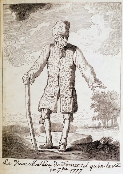 Retrato de Voltaire (1694 - 1778), escritor e filósofo francês, idoso. de Unknown artist