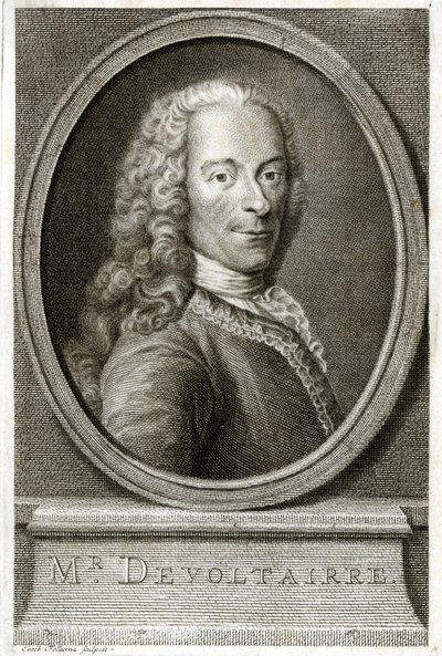 Retrato de Voltaire. Gravura do século XIX. de Unknown artist