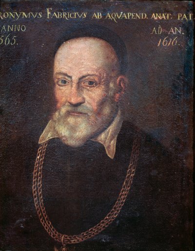 Retrato do anatomista e cirurgião pioneiro Hieronymus Fabricius (pintura de Unknown artist