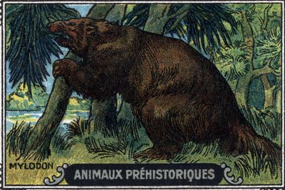 Animal pré-histórico: um mylodon. de Unknown Artist