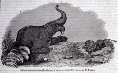 Pré-história: representação de um dinotério, tipo de pachiderm, repelindo o ataque de um leão. Gravura do século XIX de Unknown artist