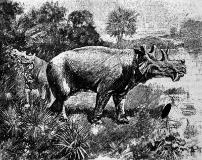 Pré-história: representação de um dinossauro Uintatherium de quatro chifres. de Unknown artist