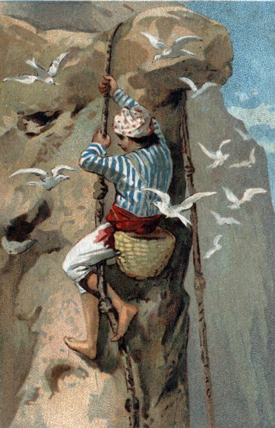 Recolha de ninhos de andorinhas de salanganga na Malásia. Cromolitografia do final do século XIX. de Unknown artist
