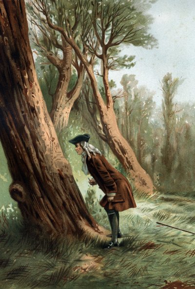 René Antoine Ferchault de Réaumur (1683-1757), físico e naturalista francês, estudando a moral de caterilles.depois de "La Ciencia y sus Hombres par Louis Figuier" Barcelona 1881 de Unknown artist
