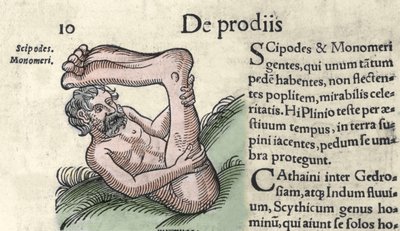 Representação de um monstro Sciapod Gravura de "The Book of Prodigiorum ac ostentorum Chronicon Basileae" de Wolfhart (Conrad Lycosthene) 1557 de Unknown artist