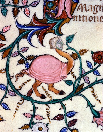 Representação de um monstro com um corpo de avestruz e uma cabeça humana. Miniatura de um manuscrito do século XIV. Milão, Biblioteca Nazionale Braidense. de Unknown artist