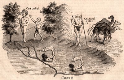Representação de tribos medievais e espécies animais: Monóculos, Blemmys, Sciopodes e camelos de Unknown artist
