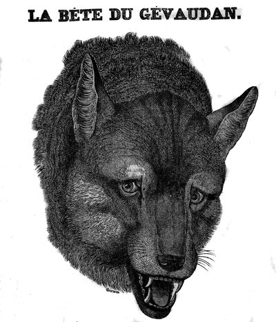 Representação do Bete du Gevaudan. de Unknown artist