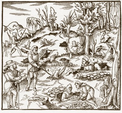 Rhabdomancy - rhabdomancie - Exploração de um campo mineiro usando a varinha de condão - Homens cortam e usam varas de adivinhação para localizar minerais - De "De re metallica" por Georgius Agricola (Georg Bauer), Basiléia de Unknown artist