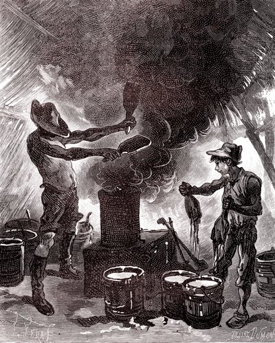 Preparação ou vulcanização da borracha na floresta brasileira de Unknown artist