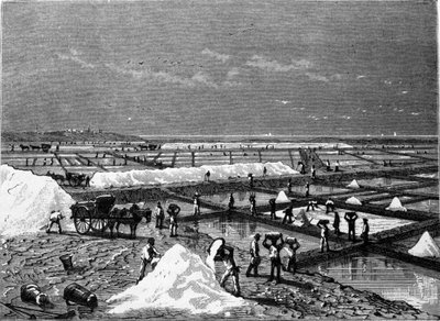 Produção de sal: vista de um pântano salino (salina) gravada no século XIX de Unknown artist