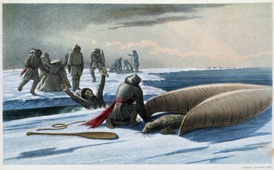Caça à Vedação: "Seal hunting in the gulf" - in "Exploration of the Labrador Peninsula" por Hind, Londres de Unknown artist