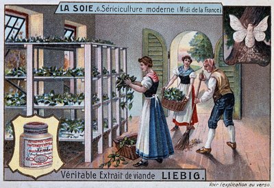 Seda: oficina da seda no sul da França, Liebig publicidade, v. 1895 de Unknown artist