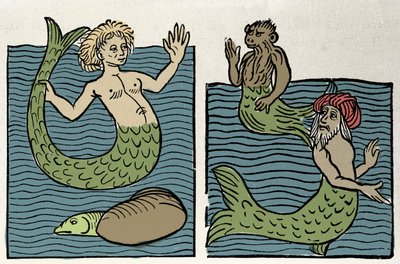 Sirene ou Virgem do Mar, Macaco e Turco Marinho. Gravura de "Hortus sanitatis". de Unknown artist