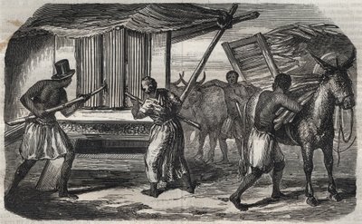 Fabricação de açúcar: uma usina de açúcar de cana em uma fábrica de açúcar nas Índias Ocidentais. Gravura a partir de 1859. de Unknown artist