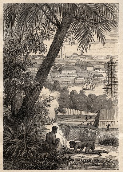 A Expedição às Terras do Sul (1800-1803) por Nicolas Baudin (1754-1803): Vista de Sydney (Austrália) - ilustração de "The Great Mariners of the 18 century" (Os Grandes Marinheiros do Século XVIII) de Unknown artist
