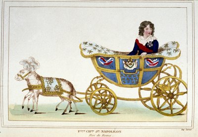 O Rei de Roma (Napoleão II) jovem rapaz, filho de Napoleão I. de Unknown artist
