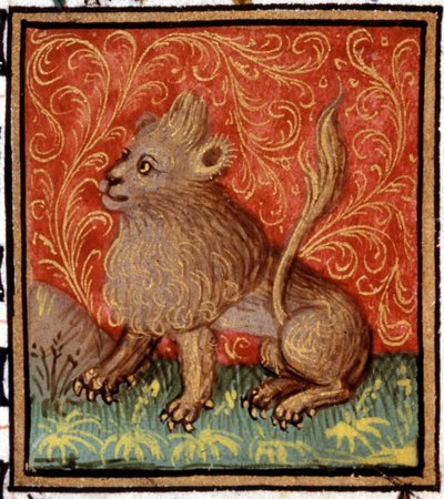 O Leão. Miniatura de um horóscopo. Manuscrito do século XV. Biblico. Trivulziana, Milão. de Unknown artist