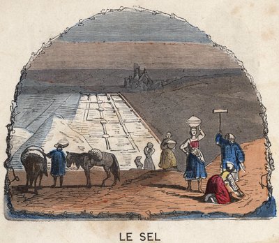 A colecção de sal. A ilustração do século XIX. Colecção Bianchetti. de Unknown artist