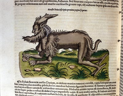 O manticore do Historia Animalium de Conrad Gesner, Tiguri 1560. Biblioteca nazionale Braidense. Milão de Unknown artist