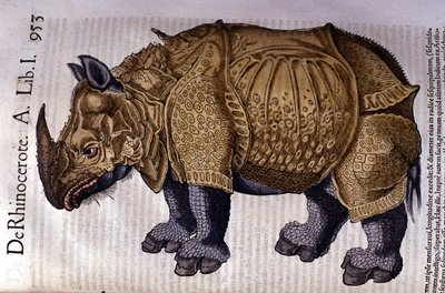 O rinoceronte após "Historia Animalium" de Conrad Gesner, Tiguri 1560. de Unknown artist