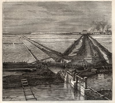 O pântano salgado de Giraud no Camargue (Bouches-du-Rhone), vista do canal de serviço - gravura em 