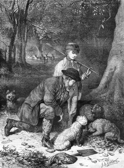 As trufas. Gravura a partir de 1870. de Unknown artist