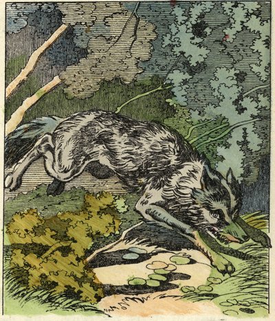 O lobo corre para a casa da avó. Ilustração do conto "O Capuchinho Vermelho", de Charles Perrault de Unknown artist