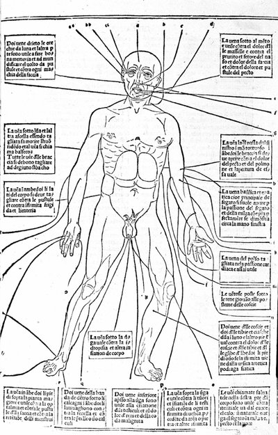 Este quadro mostra os lugares do corpo ou pratica hemorragia dependendo da dor. Tratado de Medicina de Gerolamo Cardano (Cardanus Hieronymus), Florença de Unknown artist