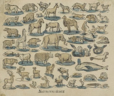 Animais. 1750-1800 de Unknown