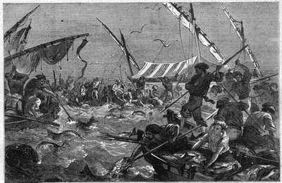 Pesca do atum com a armadilha na costa da Provença, em França. Gravura em "O Universo Ilustre". de Unknown artist