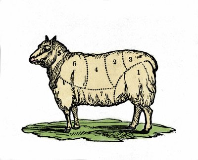 Vários pedaços de carneiros. Ilustração do final do século XIX. de Unknown artist